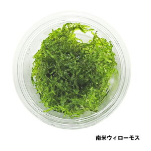 ()ăEB[X@iSJbvji1j