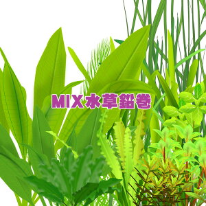 ()܂@MIXi~bNXj@i1ɐ̐jy/Mы/Ϗ܋/zýzyʔ/̔zyANAE/肤ށzy^z