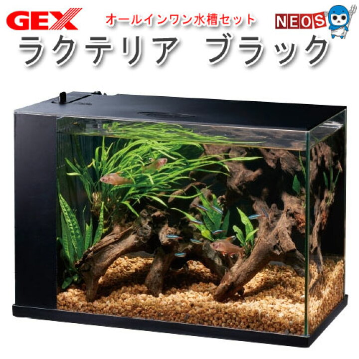 水作 水草クリーン 水槽 5パック入り 熱帯魚 飼育 生体 観賞魚