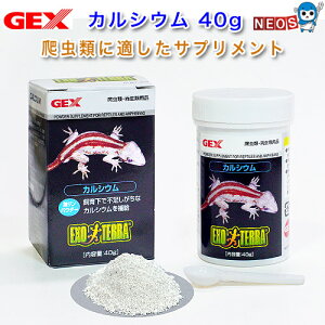 GEX EXO TERRAiGL]ej@JVE@40g@PT1850
