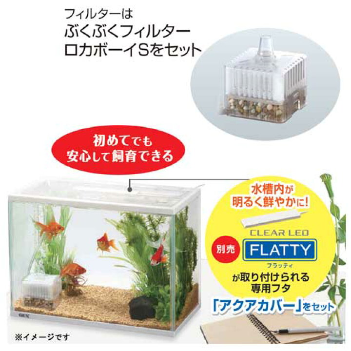 楽天市場 Gex 金魚元気 ぶくぶく水キレイセットs 水槽セット 飼育セット 水槽 熱帯魚 観賞魚 飼育 セット水槽 オブジェ 生体 通販 販売 アクアリウム あくありうむ ネオス 楽天市場店