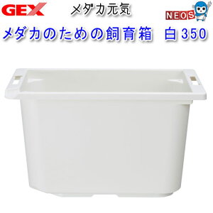 GEX@_JC@_Ĵ߂̎甠@@350