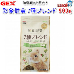 GEX@ʐH 7uh@900gy/a//GTzynX^[//X/bg/zyz