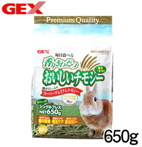 GEX@`V[ 650g@yq//`V[/zynX^[//X/bg/zyz