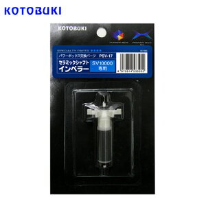 RguL@PSV-17@Z~bNVtgCy[@p[{bNXSV10000p