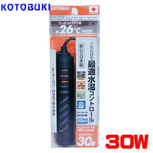 RguL@Jo[I[gSH@30WyVzy/Mы/Ϗ܋/zýzyʔ/̔zyANAE/肤ށzy^z