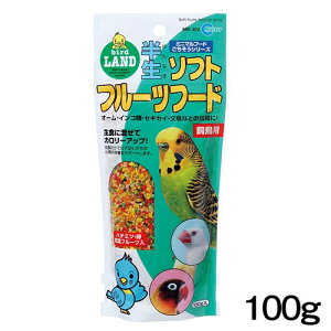 }J@\tgt[ct[h@100g@MB-302y/a//GTzynX^[//X/bg/zyz