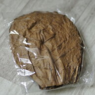 パケパフ350円　A級品　インドネシア産　マジックリーフ 10枚