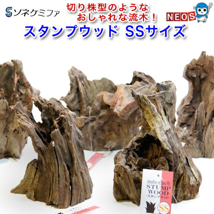 楽天市場 ソネケミファ スタンプウッド Ss 形状おまかせ 1本 ネオス 楽天市場店