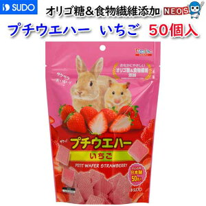 Xh[@v`EGn[@@50@P-3220ynX^[//zyʔ/̔/z