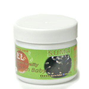 SUMA ARTEMIA CRACK ~Betta fish Baby@ tpFOOD