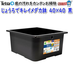 eg@傤ŃLC_J@40×40@