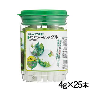 AY[@ANAXP[sOO[@4g×25{@LH20154y/Mы/Ϗ܋/zýzyʔ/̔zyANAE/肤ށzy^z