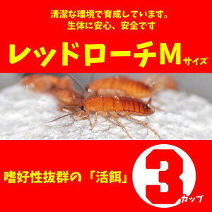 ()bh[`@iMTCYji3Jbvjysz@y/Mы/Ϗ܋/zýzyʔ/̔zyANAE/肤ށzy^z