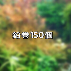 ()@낢~bNX@150@y񂹕ii3-4jz@y/Mы/Ϗ܋/zýzyʔ/̔zyANAE/肤ށzy^z