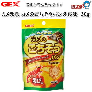GEX@JC Ĵp@і@20g