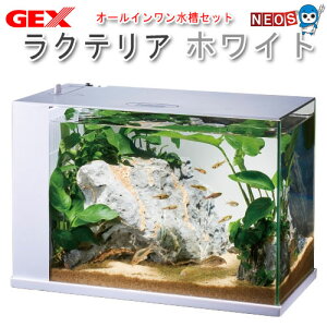 水槽セット アクアリウム 飼育セットの人気商品 通販 価格比較 価格 Com
