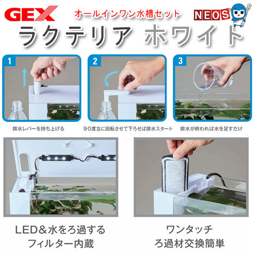 楽天市場】GEX ラクテリア ホワイト【水槽セット】【飼育セット 