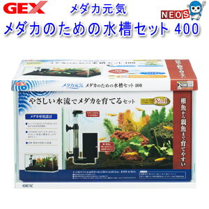 GEX@_JC@_Ĵ߂̐Zbg@400