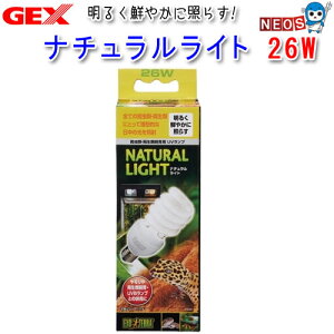 GEX@i`Cg@26W@PT2191@@O@UV