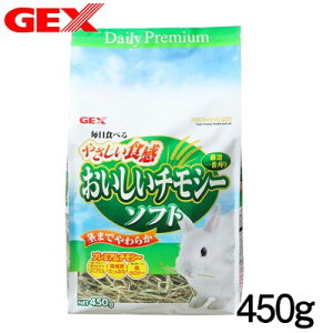 GEX@`V[ \tg@450g@yq//`V[/zynX^[//X/bg/zyz