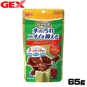 GEX@JC@voCIt[h@㐫@65gya  GTzyϏ܋@azy/Mы/Ϗ܋/zýzyʔ/̔zyANAE/肤ށzy^z