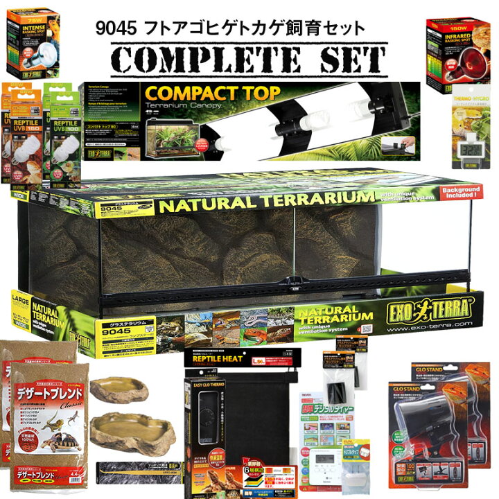 楽天市場】【水槽セット】9045 フトアゴヒゲトカゲ飼育セット  
