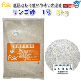 天然サンゴ砂　1号　3kg　【水槽/熱帯魚/観賞魚/飼育】【生体】【通販/販売】【アクアリウム/あくありうむ】【小型】