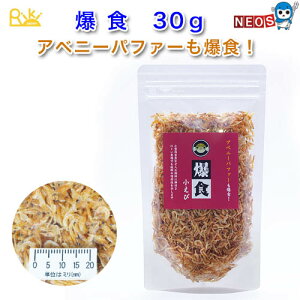 Axj[pt@[ɂ@yRzHс@30g@@~htO@ɏGr