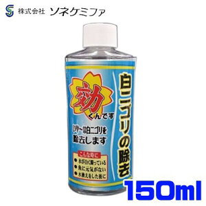 \lP~t@@łEH[^[@jS@150mly/Mы/Ϗ܋/zýzyʔ/̔zyANAE/肤ށzy^z