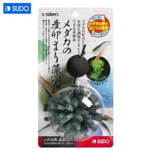 Xh[@_J̎Y܂葔ijJ{o@S-5806