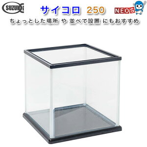 ؐ쏊@KX@TCR250@@255×255×253mm@y񂹕iz