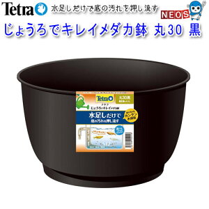 eg@傤ŃLC_J@30@