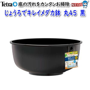 eg@傤ŃLC_J@45@
