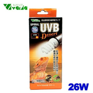 roA@XpCUVB fU[g@26W@PR-262y/Mы/Ϗ܋/zýzyʔ/̔zyANAE/肤ށzy^z