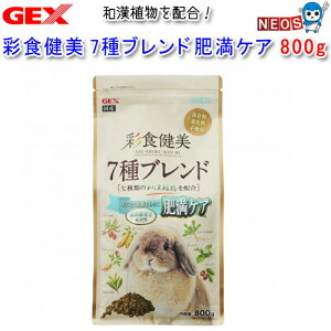 GEX@ʐH 7uh 얞PA 800g@y/a//GTzynX^[//X/bg/zyz