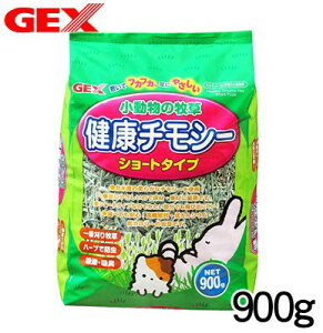 GEX@̖q N`V[ 900g@yq//`V[/zynX^[//X/bg/zyz