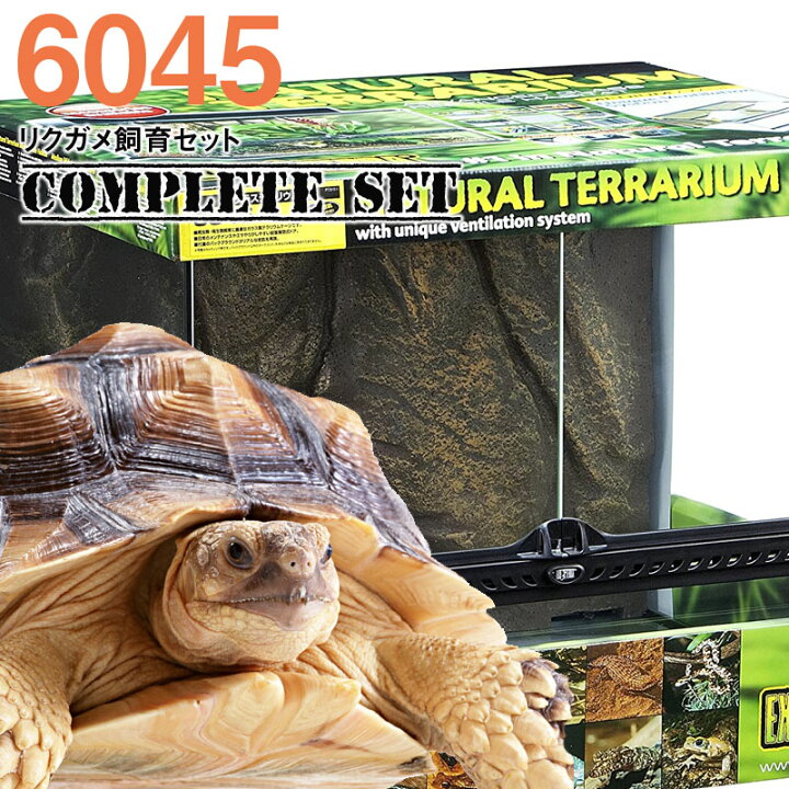 楽天市場】【水槽セット】6045 リクガメ飼育セット コンプリート (大型  