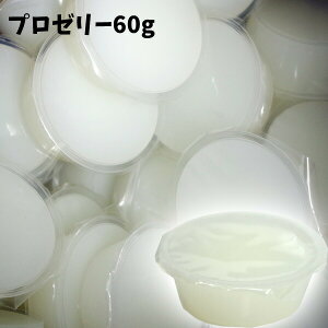 [[@lCNO.1@v[[@60gy25z@ς@F@ۑY@J[