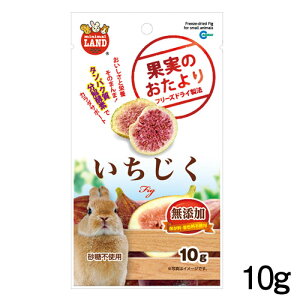 }J@ʎ̂ @10g@ML-143y/a//GTzynX^[//X/bgzyz