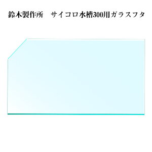 yؐ쏊zKXt^@TCR300p@1i283×s200×3mmjSʂł܂