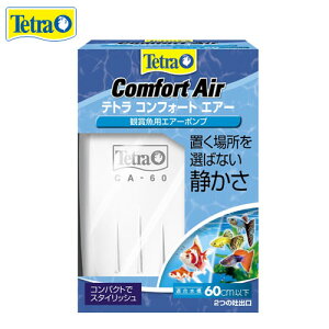 (ANAE pi)eg@RtH[gGA[@60