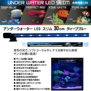 [XC@A_[EH[^[LED X 30cm fB[vu[iDBjy񏤕izy/Mы/Ϗ܋/zýzyʔ/̔zyANAE/肤ށzy^z