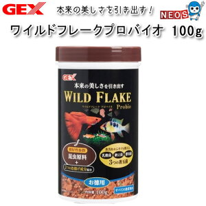 GEX@Cht[N@voCI@100gy/Mы/Ϗ܋/zýzyʔ/̔zyANAE/肤ށzy^z