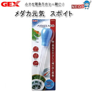 GEX@_JC@X|Cgy/Mы/Ϗ܋/zýzyʔ/̔zyANAE/肤ށzy^z