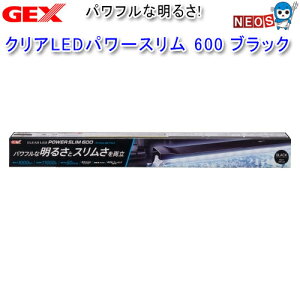 GEX@NALEDp[X@600@ubN