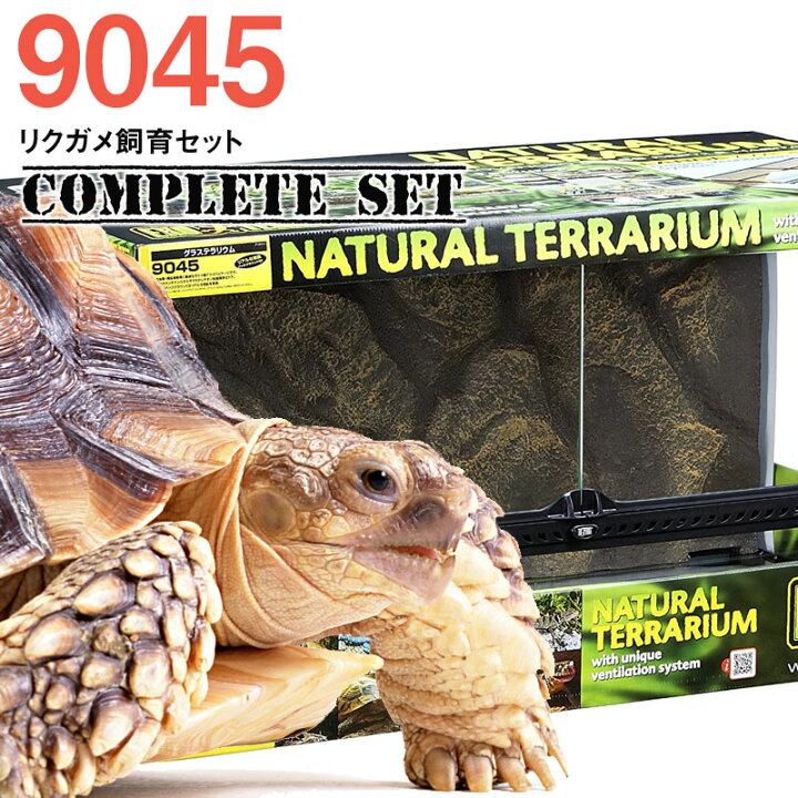 楽天市場】【水槽セット】9045 リクガメ飼育セット コンプリート（大型  