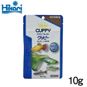 L[@ЂNXg@Obs[@10gya  GTzyϏ܋@azy/Mы/Ϗ܋/zýzyʔ/̔zyANAE/肤ށzy^z