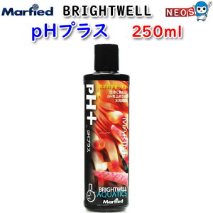 }[tB[h@Brightwell@pHvX@250ml@y񏤕izya  GTzyϏ܋@azy/Mы/Ϗ܋/zýzyʔ/̔zyANAE/肤ށzy^z