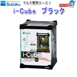 @i-Cube@ACEL[u@ubN